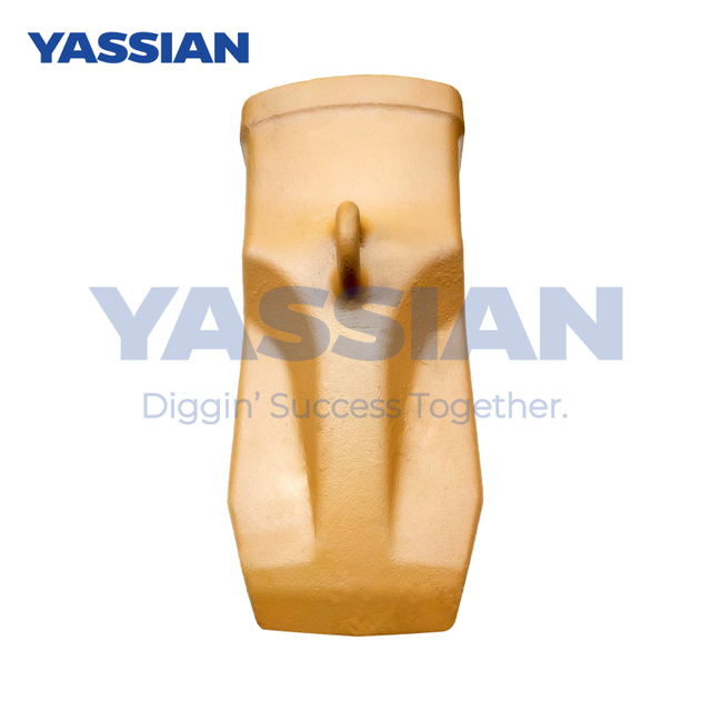 أسنان بوينت 232-0173