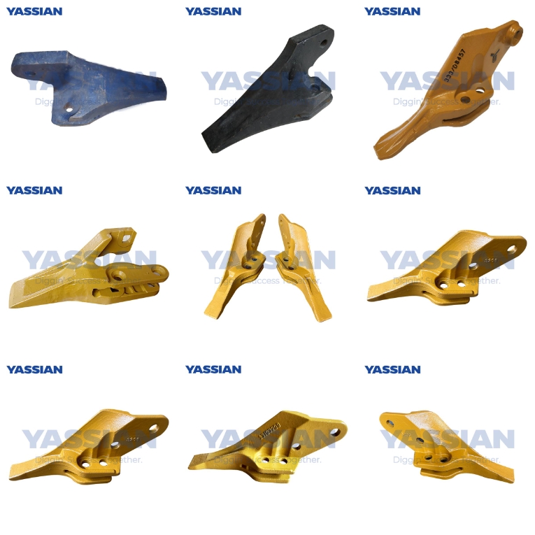 هذا هو الحال